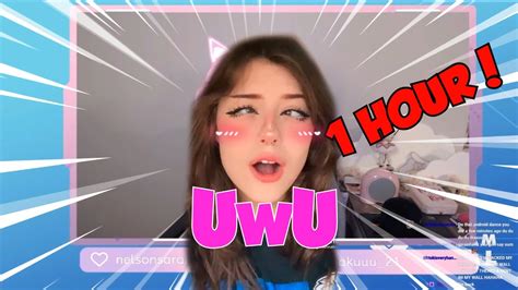 uwu videos